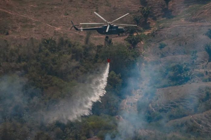 Foto: incendios forestales en Perú han provocado varios fallecidos/Cortesía