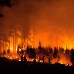 Foto: Incendios forestales en Argentina /cortesía