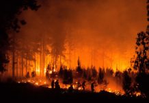 Foto: Incendios forestales en Argentina /cortesía