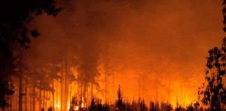 Foto: Incendios forestales en Argentina /cortesía