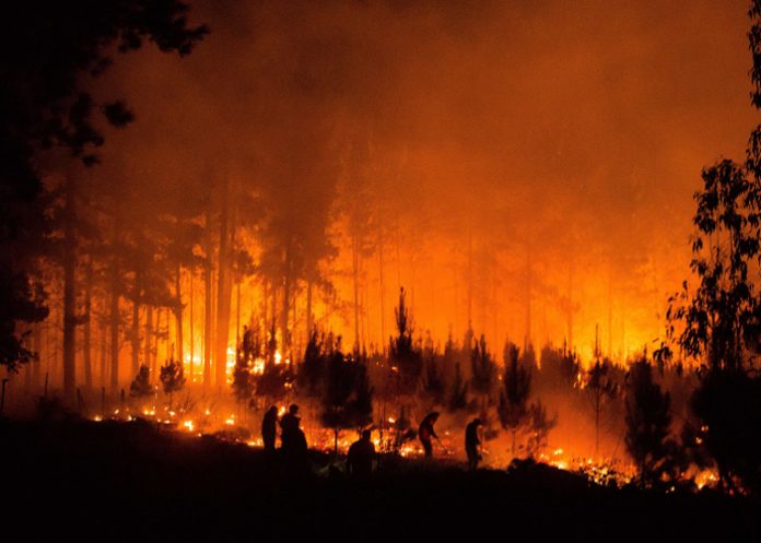 Foto: Incendios forestales en Argentina /cortesía