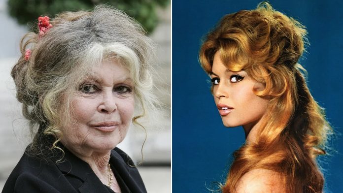 Foto: Brigitte Bardot cumple 90 años, cansada de la atención, pero firme en su lucha por los animales.