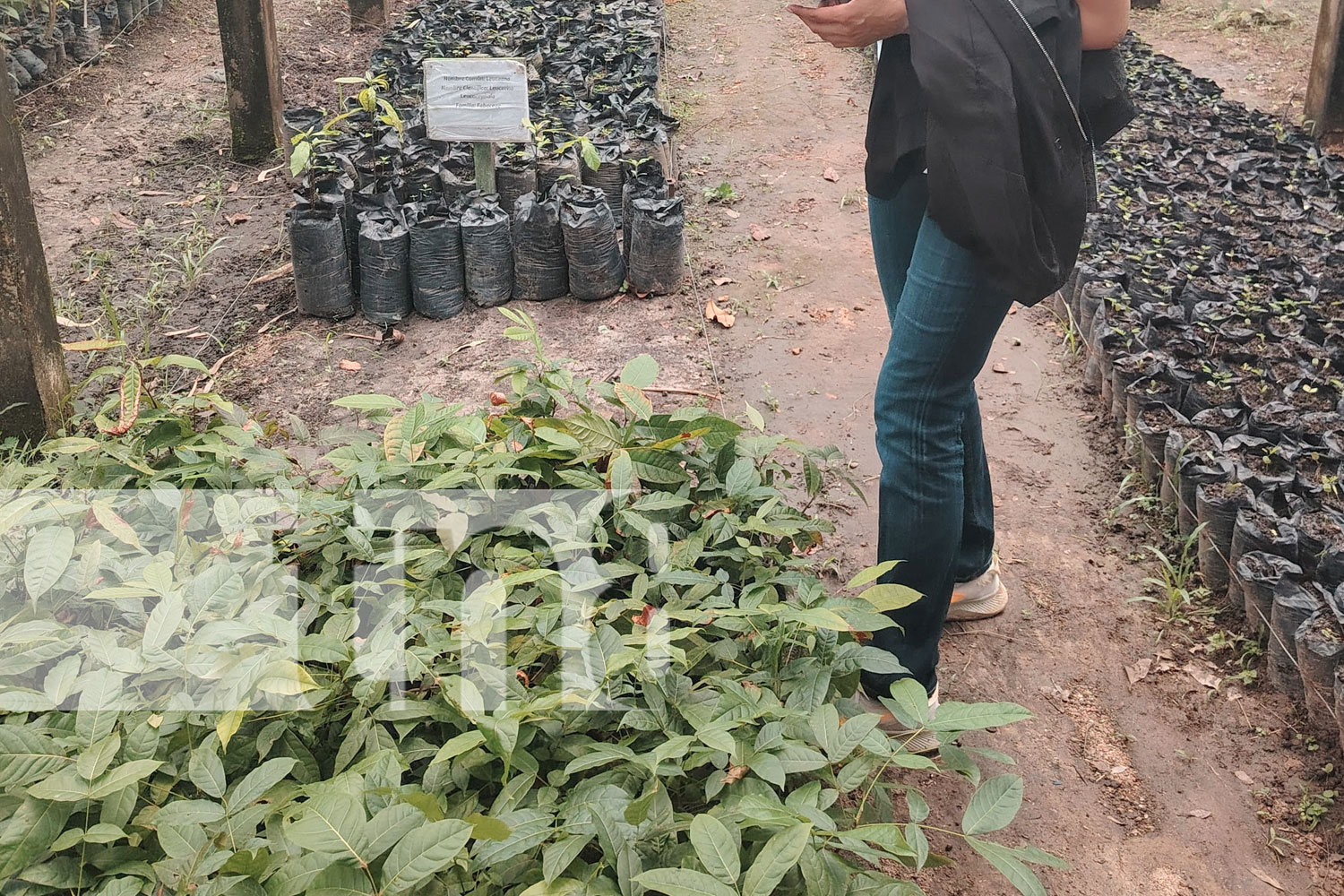 BICU recibe visita del CNU para reforzar su compromiso con la Madre Tierra