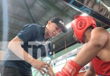 Foto: Campeonato de boxeo juvenil en el Roger Deshon impulsa talento local en Managua/TN8