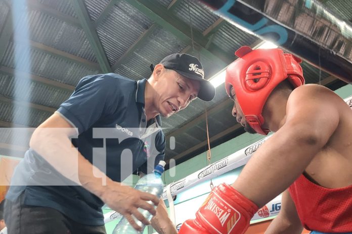 Foto: Campeonato de boxeo juvenil en el Roger Deshon impulsa talento local en Managua/TN8