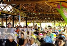 Foto: Isla de Ometepe dan inicio a la Expo Ometepe en su XV edición/TN8