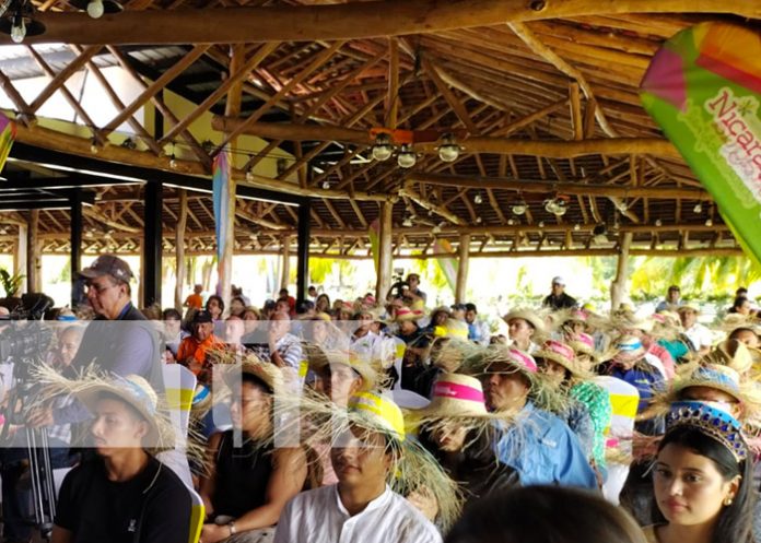 Foto: Isla de Ometepe dan inicio a la Expo Ometepe en su XV edición/TN8