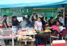 Foto: Feria del maíz Xilonem en el municipio de Somoto/TN8