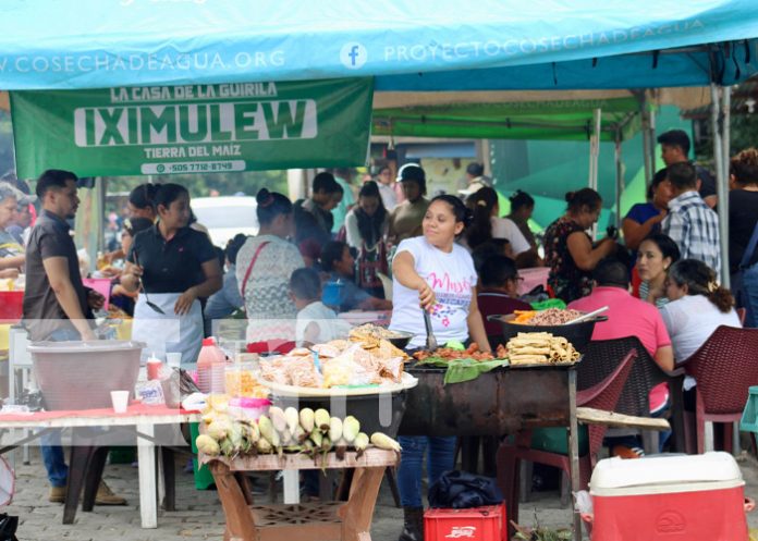 Foto: Feria del maíz Xilonem en el municipio de Somoto/TN8