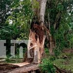 Foto: Familia se salva de morir en la Isla de Ometepe /TN8