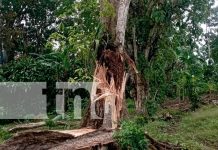 Foto: Familia se salva de morir en la Isla de Ometepe /TN8