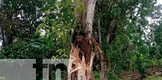 Foto: Familia se salva de morir en la Isla de Ometepe /TN8