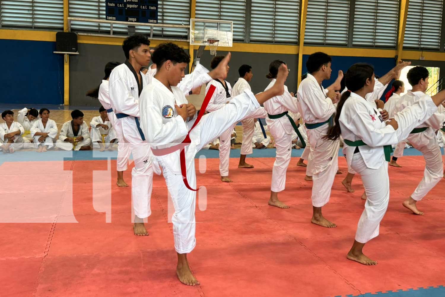 Foto: Taekwondo como parte de los Juegos Juveniles en Nicaragua/TN8