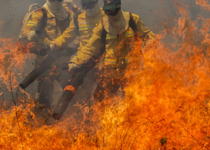 Foto: Incendios en Brasil  /cortesía 