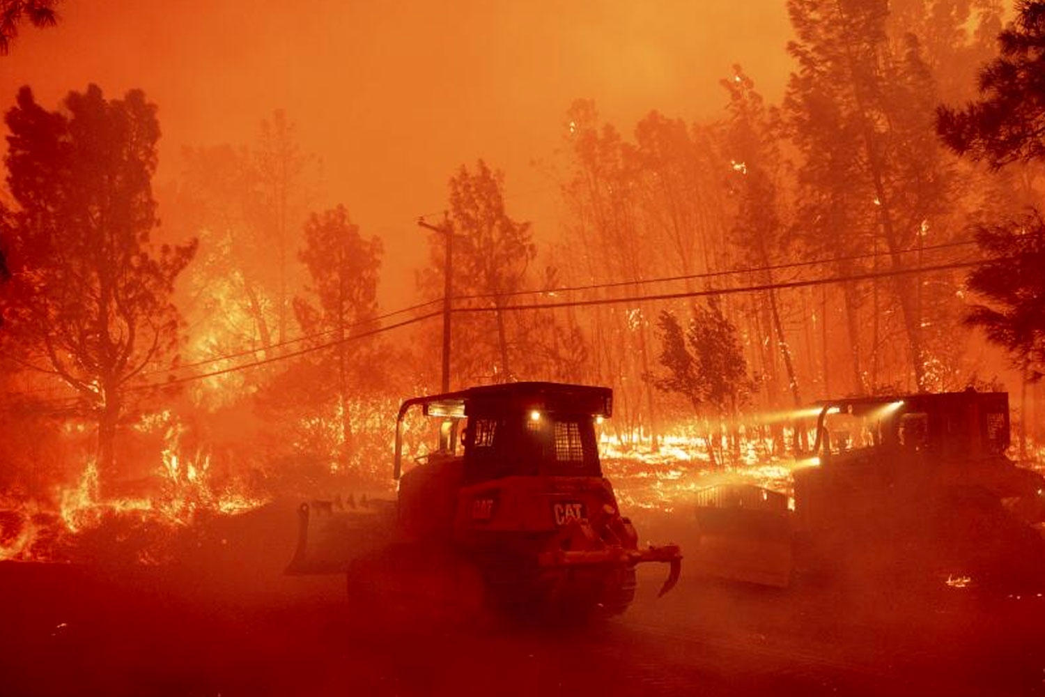 Foto: Incendios forestales avanzan en el oeste de EEUU y cubre Los Ángeles de humo/TN8