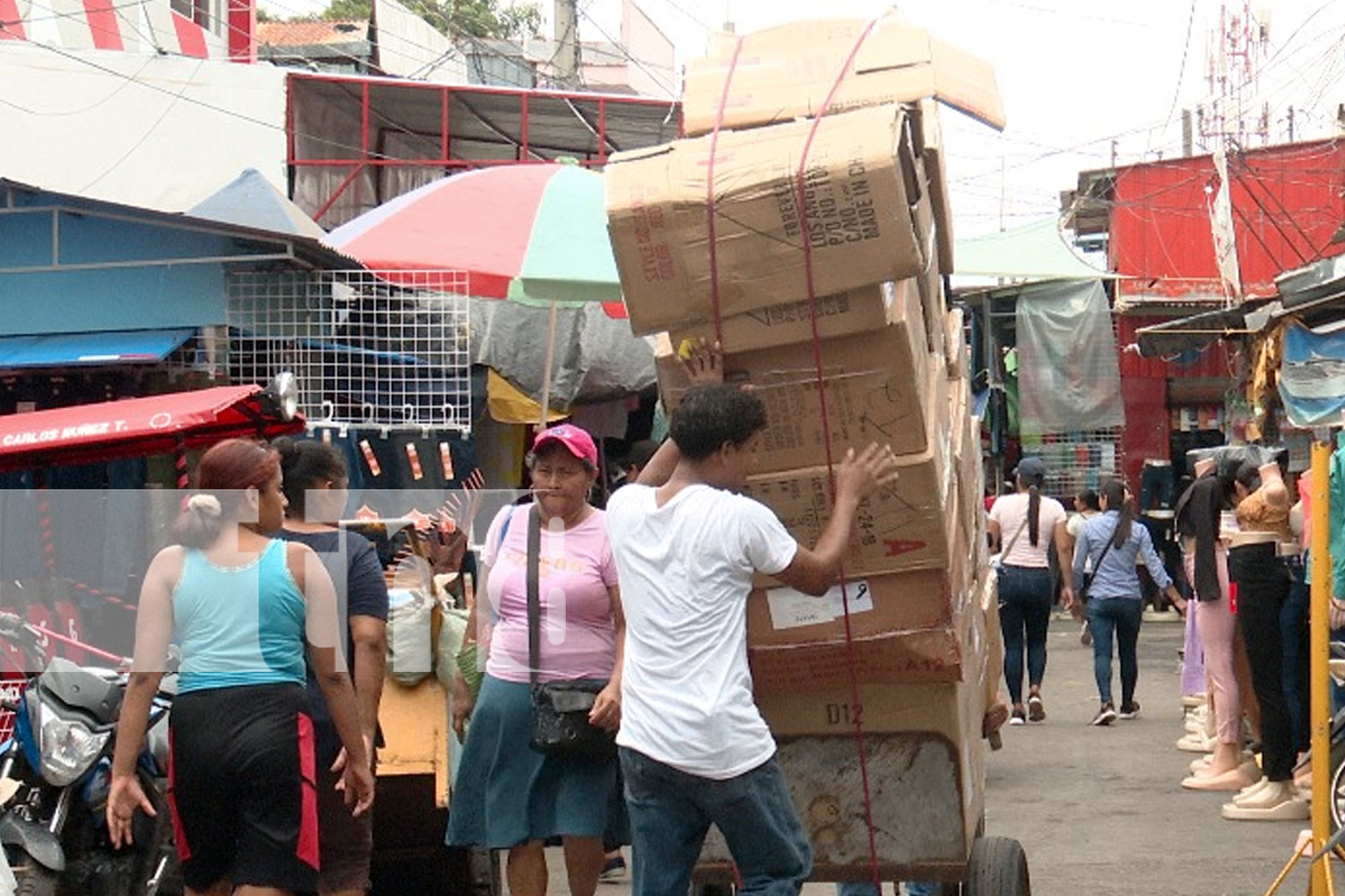 Foto: Grandes expectativas en estas Vacaciones patrias /TN8