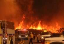 Foto: Incendio "Bridge" arrasa 33 casas y causa evacuaciones en Los Ángeles