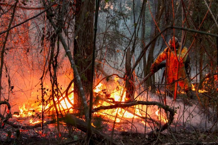 Foto: Brasil enfrenta miles de incendios en medio de la peor sequía histórica