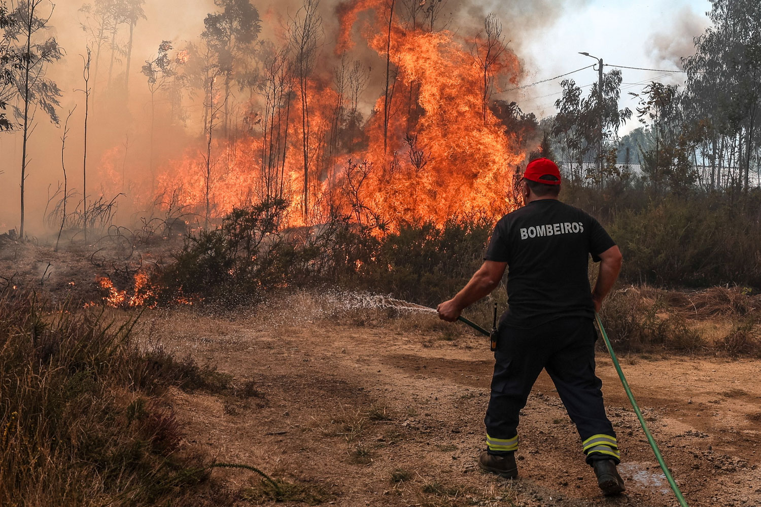 Foto: Los incendios en Portugal dejan siete muertos /Cortesía