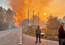 Foto: Incendios forestales continúan activos en Portugal /Cortesía