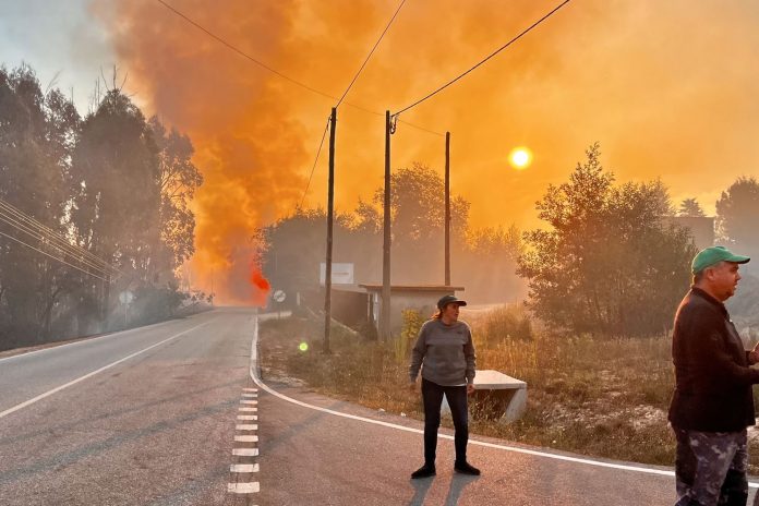 Foto: Incendios forestales continúan activos en Portugal /Cortesía