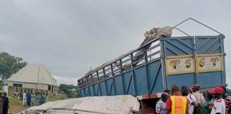 Foto: El incidente ocurrió en el condado de Saminaka, Nigeria/Cortesía