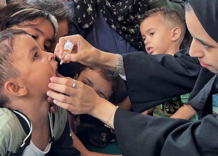 Foto: Vacunación contra la Polio en Gaza /cortesía