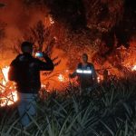 Foto: Perú declara estado de emergencia por incendios forestales en la Amazonía / Cortesía