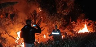 Foto: Perú declara estado de emergencia por incendios forestales en la Amazonía / Cortesía