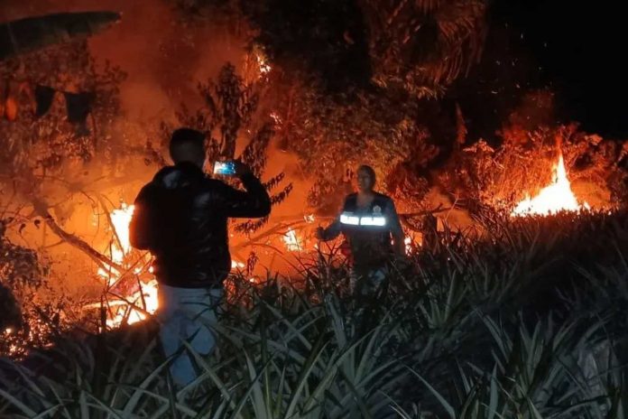 Foto: Perú declara estado de emergencia por incendios forestales en la Amazonía / Cortesía