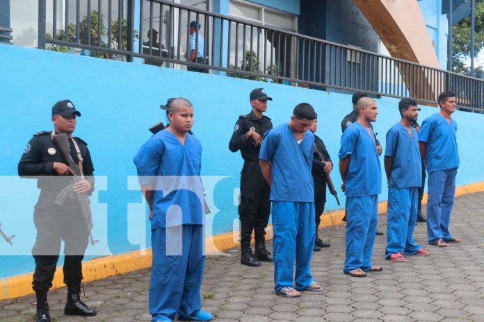 Foto: Seis detenidos por tráfico de drogas e intento de femicidio en el Triángulo Minero/TN8