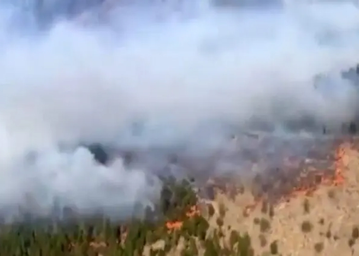 Foto: Incendio forestal arrasa en Argentina /cortesía 