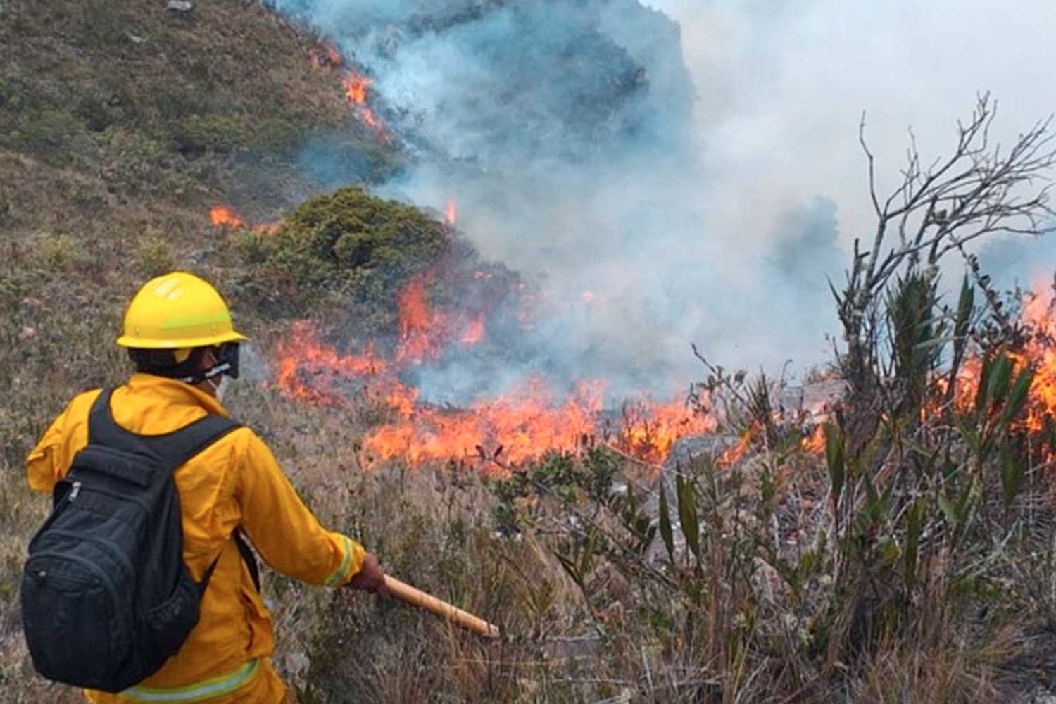 Foto: incendios forestales en Perú han provocado varios fallecidos/Cortesía