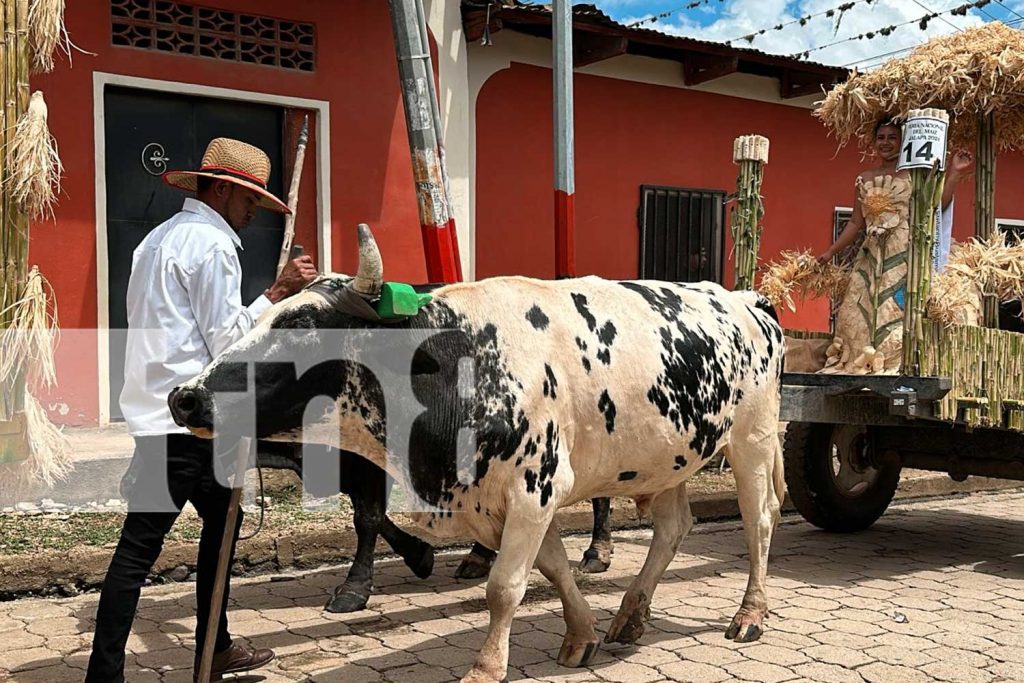 Foto: Celebran la edición 41 de la gran Feria Nacional del Maíz en Jalapa/TN8