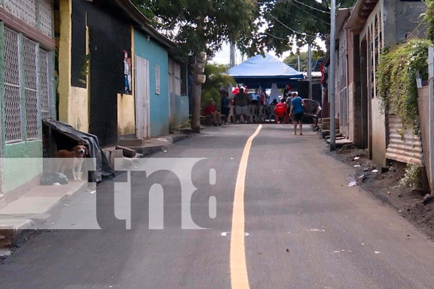 Foto: Alma entrega calles con revestimiento asfáltico en Villa Israel/ TN8