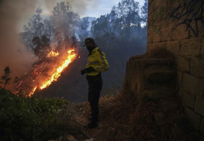 Foto: Quito evacúa 100 familias ante incendios forestales que agravan la crisis climática