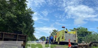 Foto: En Chinandega, hombre pierde la vida de manera inmediata/TN8