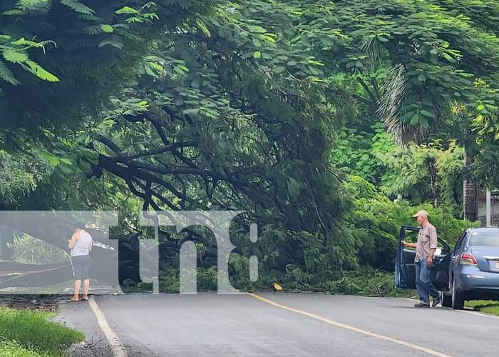 Foto: Fuertes lluvias de los últimos días/TN8