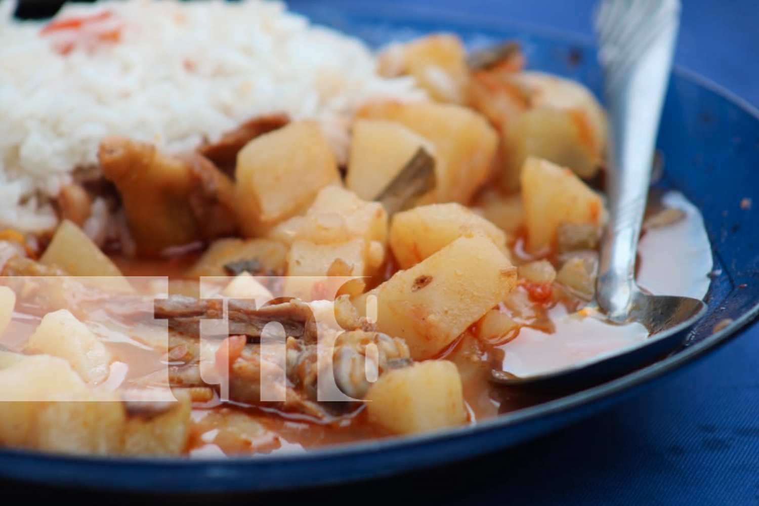 Foto: Recetas tradicionales brillan en el festival gastronómico "Patria Bendita" en Madriz/TN8