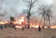 Foto: Emergencia en Bolivia /cortesía