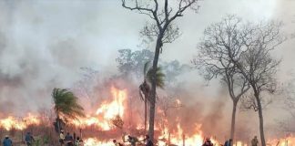 Foto: Emergencia en Bolivia /cortesía