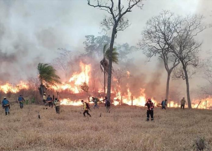 Foto: Emergencia en Bolivia /cortesía