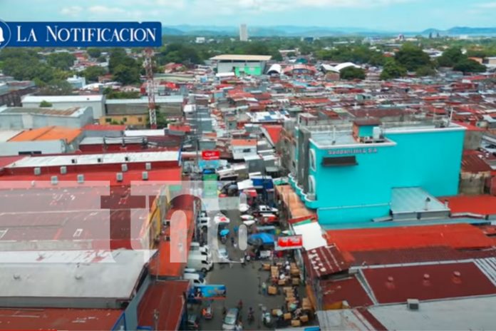 Foto: El Mercado Oriental: El motor comercial de Centroamérica y pilar de la economía nacional/ TN8