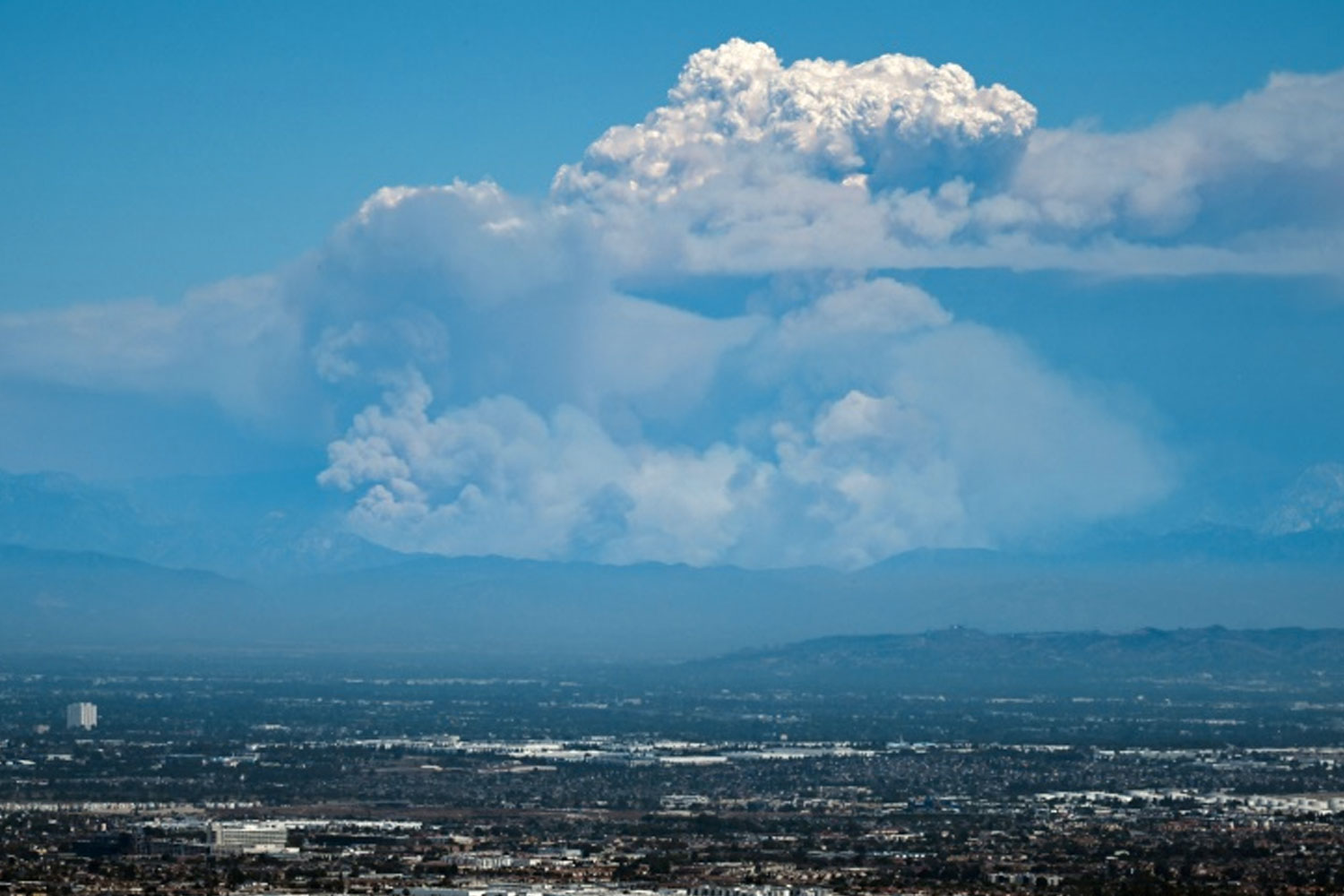 Foto: Incendios forestales avanzan en el oeste de EEUU y cubre Los Ángeles de humo/TN8