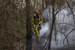 Foto: Brasil enfrenta miles de incendios en medio de la peor sequía histórica