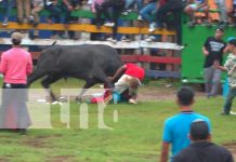 Foto: Varios heridos en el último día de monta en las fiestas patrias de Juigalpa, Chontales/TN8