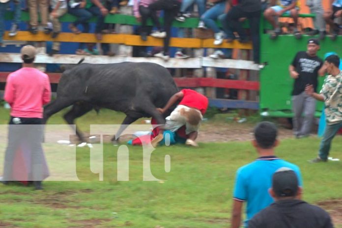 Foto: Varios heridos en el último día de monta en las fiestas patrias de Juigalpa, Chontales/TN8