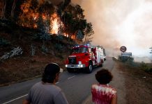 Foto: Los incendios en Portugal dejan siete muertos /Cortesía