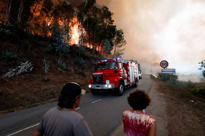 Foto: Los incendios en Portugal dejan siete muertos /Cortesía