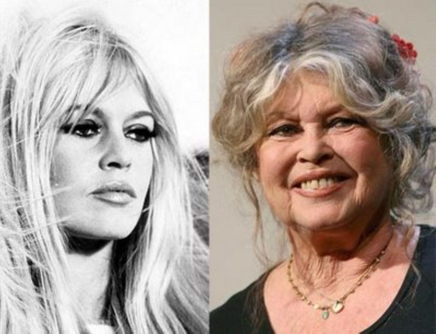 Foto: Brigitte Bardot cumple 90 años, cansada de la atención, pero firme en su lucha por los animales.